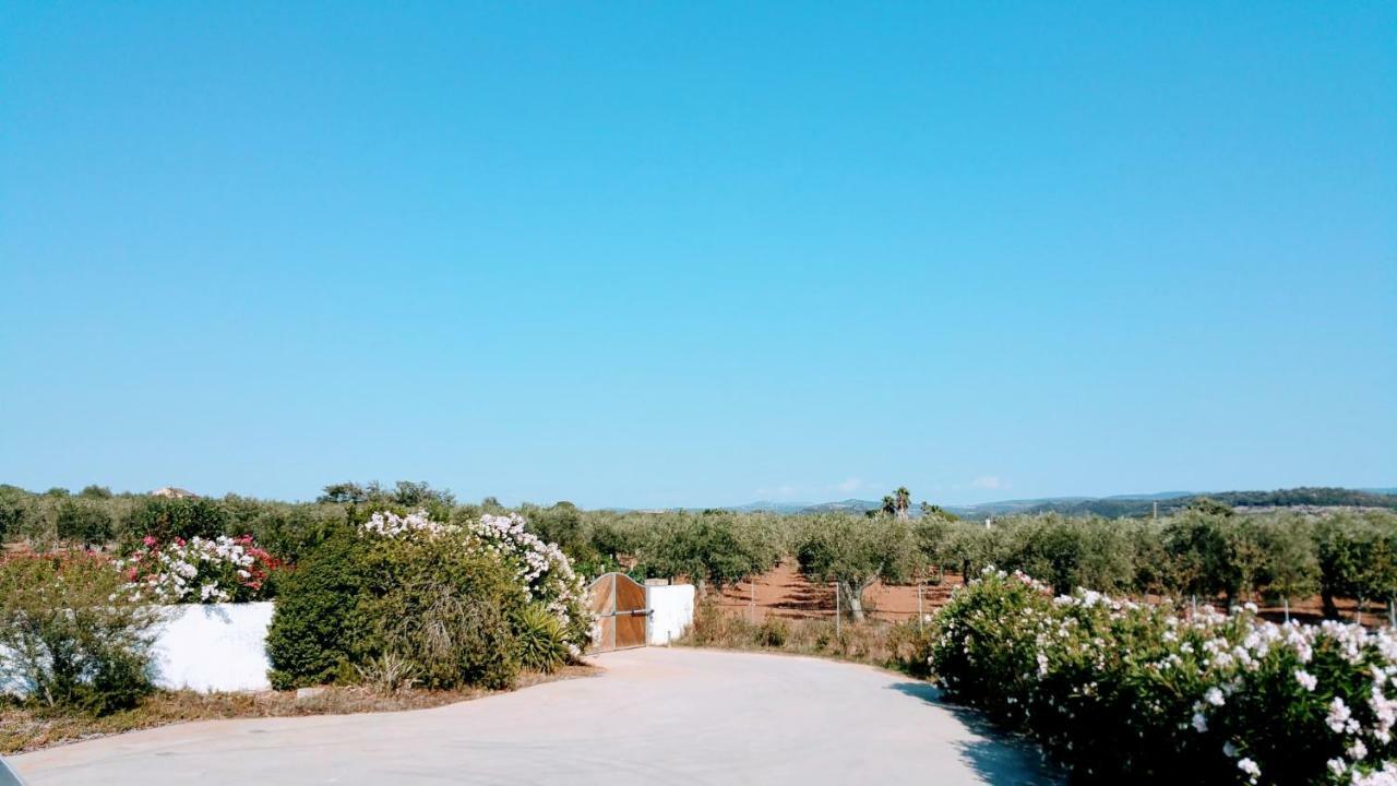 Villa Rafael Con Piscina, Iun P4098 Alghero Eksteriør bilde